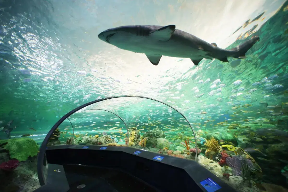 Ripley’s Aquarium of Canada